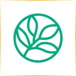 Evergreen Valley College