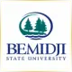 Bemidji State University - Management School Ranking