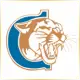 Clinton Community College - Management School Ranking