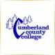Cumberland County College - Management School Ranking