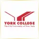 CUNY York College - Management School Ranking