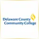 Delaware County Community College - Management School Ranking
