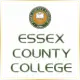 Essex County College - Management School Ranking