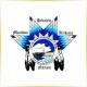 Nueta Hidatsa Sahnish College - Management School Ranking