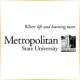 Metropolitan State University - Management School Ranking