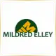 Mildred Elley School Albany - Management School Ranking