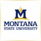 Montana State University Northern - Management School Ranking