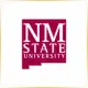 New Mexico State University - Management School Ranking