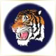 Paul Quinn College - Management School Ranking