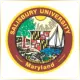 Salisbury University - Management School Ranking