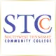 Southwest Tennessee Community College - Management School Ranking