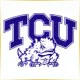 Texas Christian University - Management School Ranking