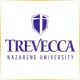 Trevecca Nazarene University - Management School Ranking