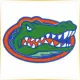University of Florida - Management School Ranking