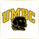 University of Maryland Baltimore County - Management School Ranking