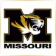 University of Missouri St Louis - Management School Ranking