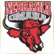 University of Nebraska at Omaha - Management School Ranking