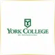 York College Pennsylvania - Management School Ranking