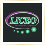 Liceo de Arte Dise O y Comercio